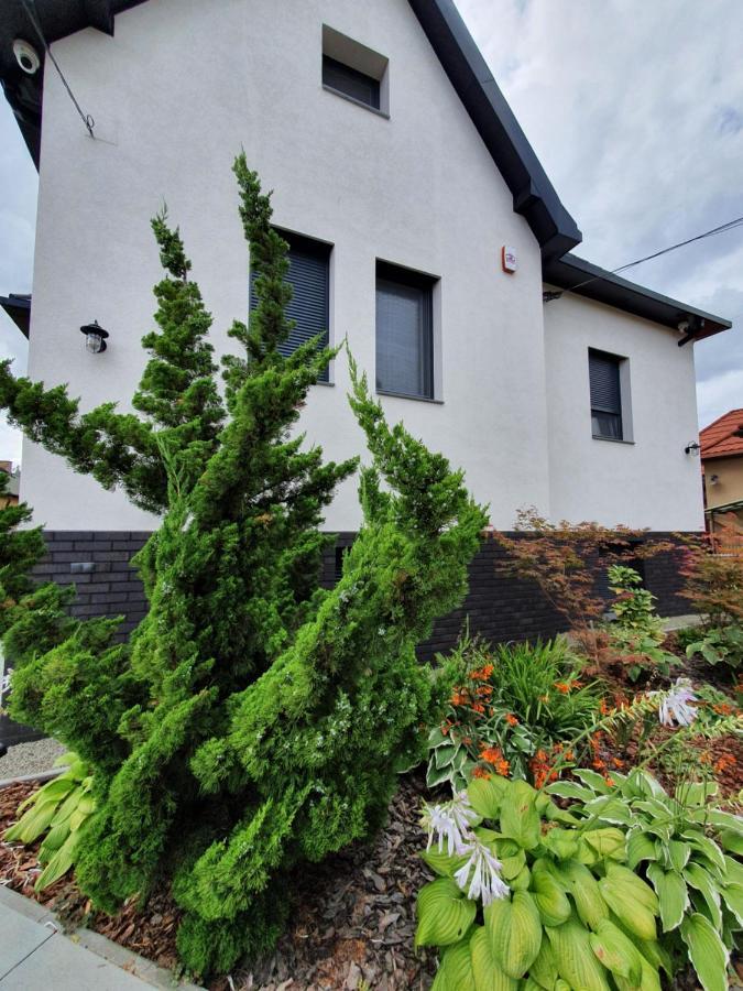 Tweed House Villa Budapeşte Dış mekan fotoğraf